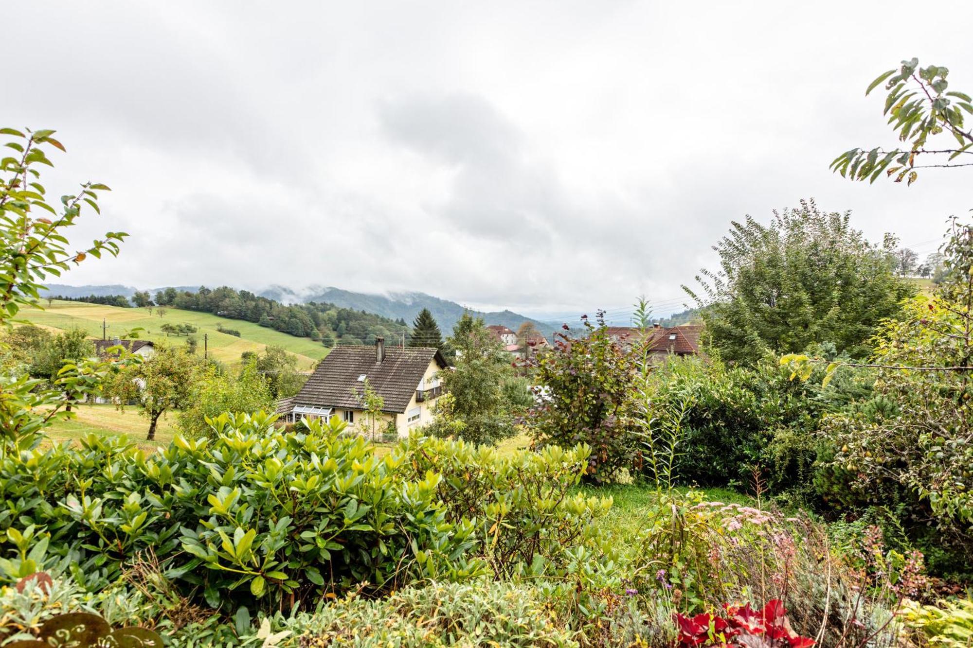Haus Landblick Zell im Wiesenthal Exterior foto